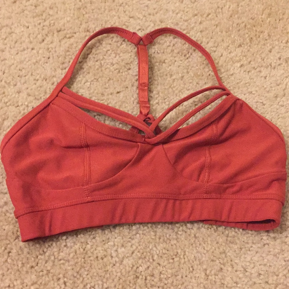 Scorpion sol sport bra XS